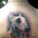 What does a bull terrier tattoo mean?